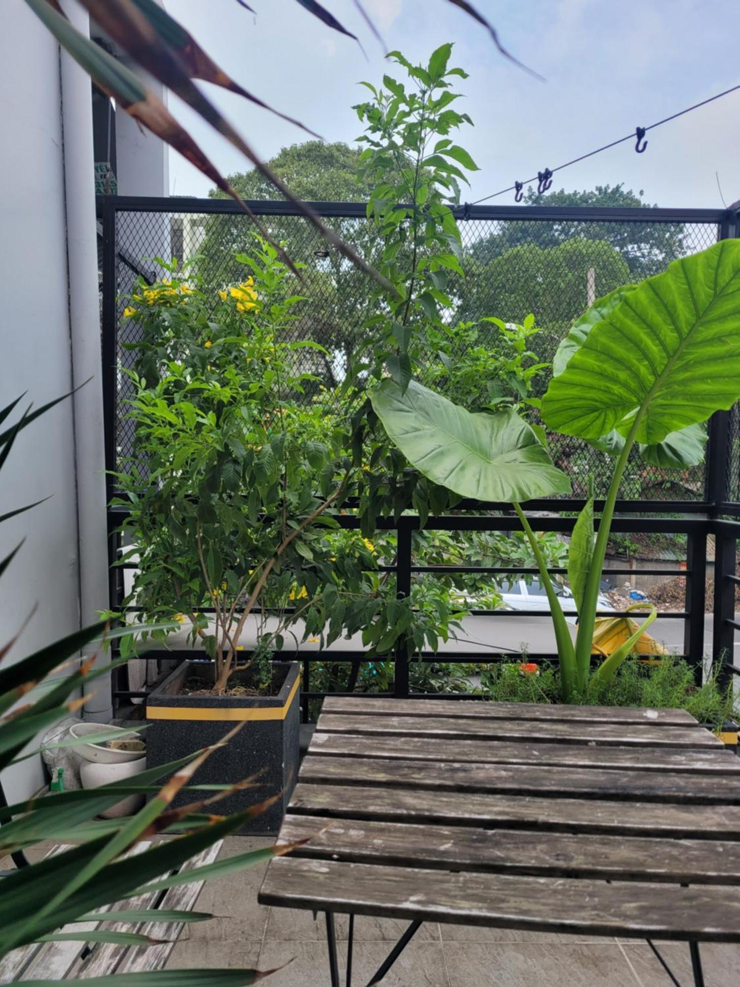 Agk House - Homestay - 406 Xo Viet Nghe Tinh, P25, Binh Thanh, Gan Nga 4 Hang Xanh Ho Chi Minh-Byen Eksteriør billede